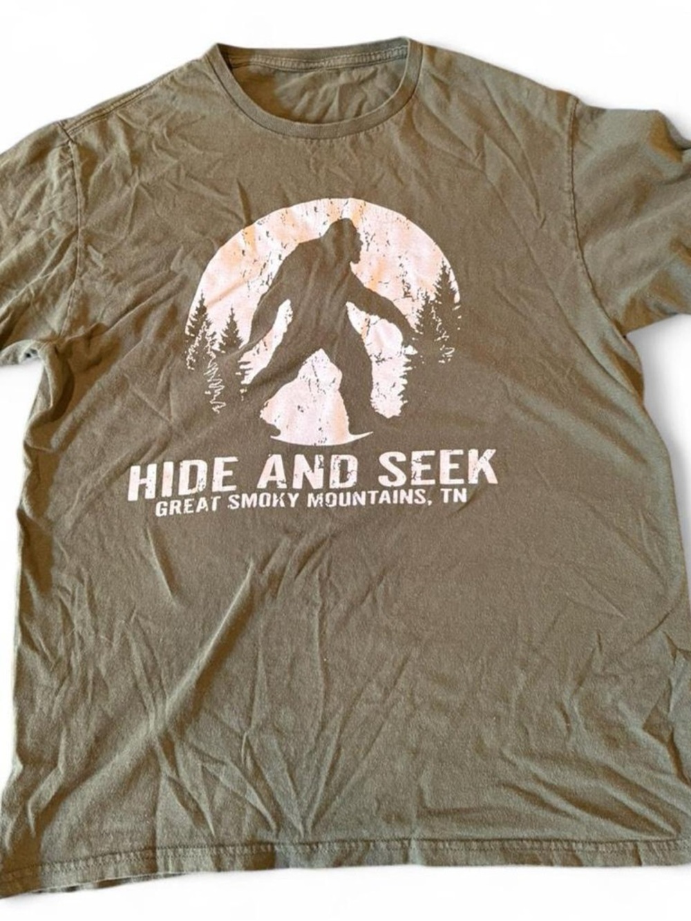 Bigfoot Hide and Seek Smoky Mountains